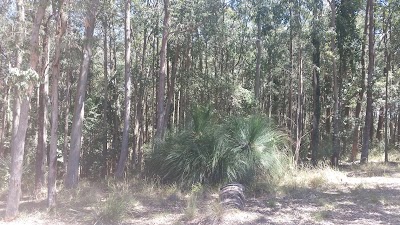 Photos of Macleans Lookout