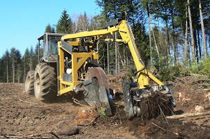 Photo n°2 de ALLIANCE Forêts Bois à Saint-Dizier-Masbaraud (Exploitation forestière)