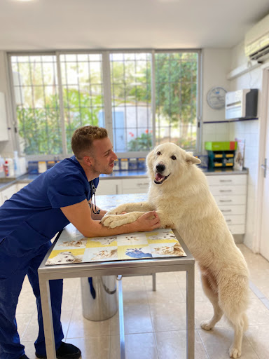 Clínica Veterinaria Parc Felanitx