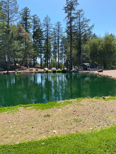 Smith's Mt. St. Helena Trout Farm & Hatchery Gallery - United States