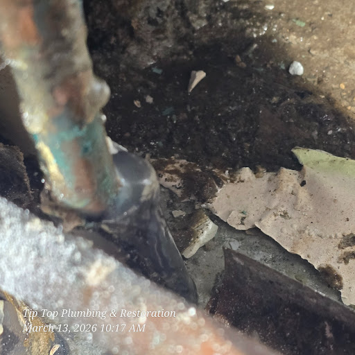 post-image-1