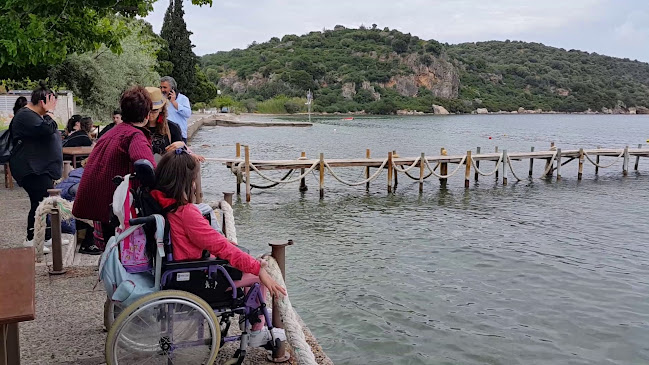 Μουριά Εστιατοριο- Καφέ - Εν.Δωμάτια - Επίδαυρος