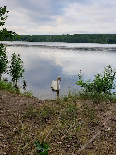 Sneech Pond