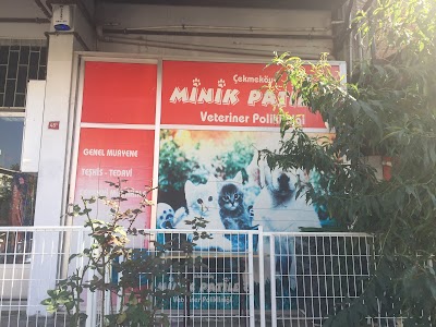 Little Paws Veterinary Clinic