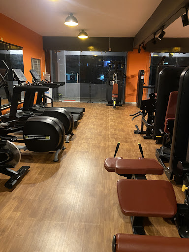 True Muscle Fitness Hub