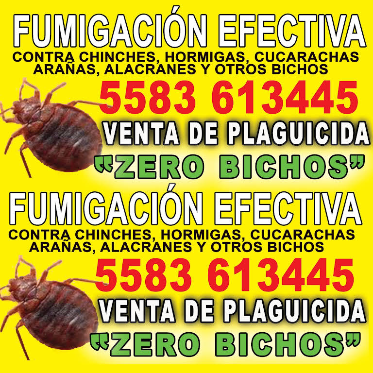 ZERO Plagas servicio de fumigación efectiva - Empresa De Fumigación Y De Plagas en San Totoltepec