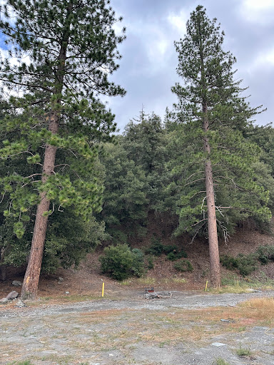 Yellow Post 1, Cold Camp - Thumbnail