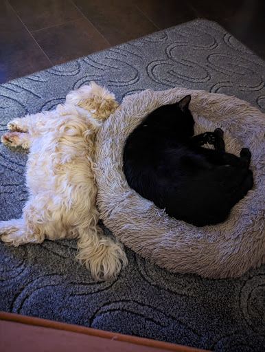 PetFarm - Visual