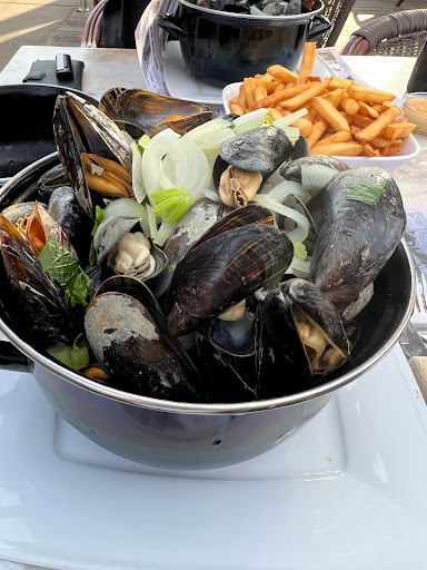 De Schelde - Visual