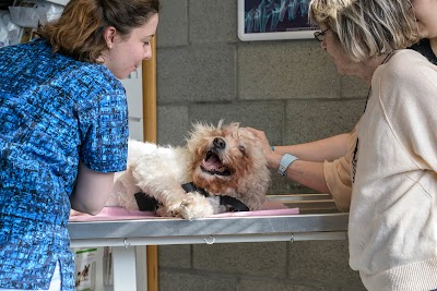 Photos of Veterinary Bongartz and Associates