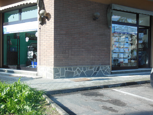 Mutticasa di Daniela Carolia Gallery - Italy