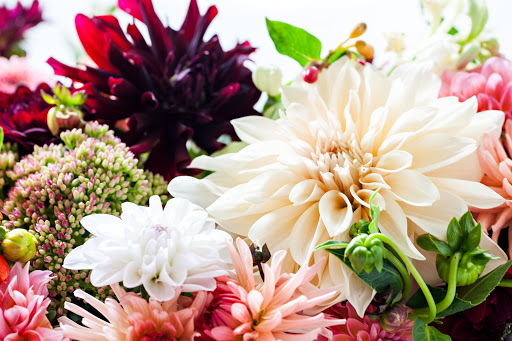 Studio Flowers - Visual