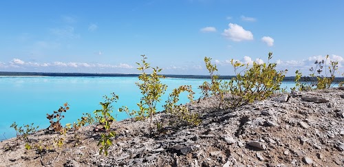 Eesti SEJ settebassein