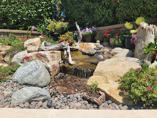Columbia Water Gardens | Pond Construction - Maintenance - Repair - Thumbnail
