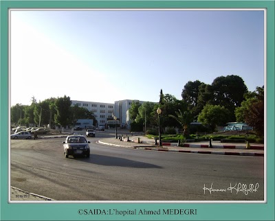 Photos of Ahmed Medeghri