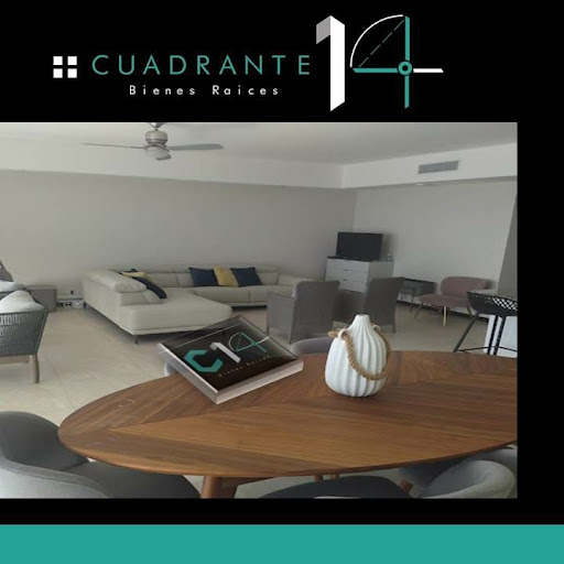 Cuadrante 14 - Visual