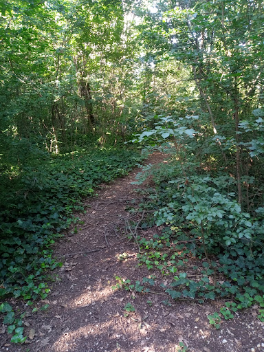 Bosco di Campagna Gallery - Italy