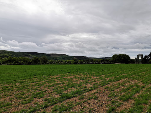 Fishpond Fields - Visual