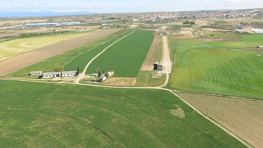 Aeródromo de Cebolla