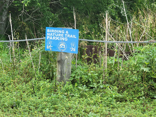 White Lake Conservation Area Bird and Nature Trail - Thumbnail