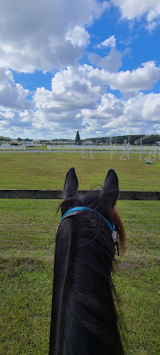 Hitching Post Trails - Visual