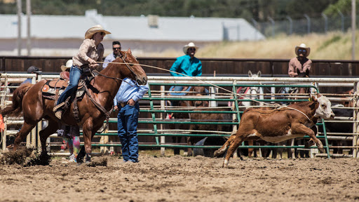 California Farm Insurance - Thumbnail