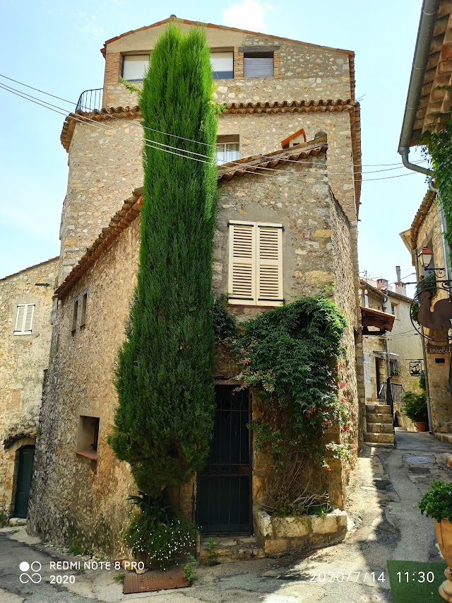 L'Amandier de Mougins