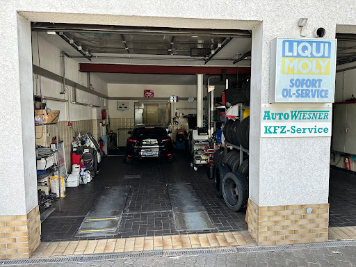 Auto Wiesner - Visual