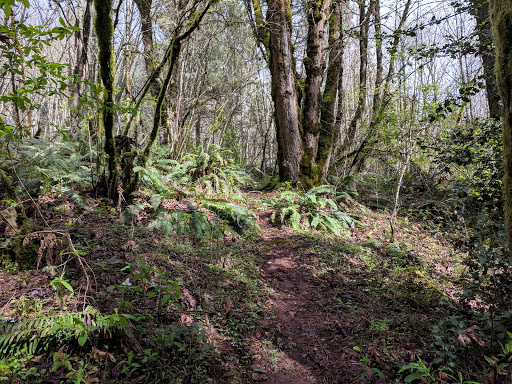 Crabtree Park