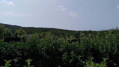 Children and Sports Park is Rıza Çalımbay