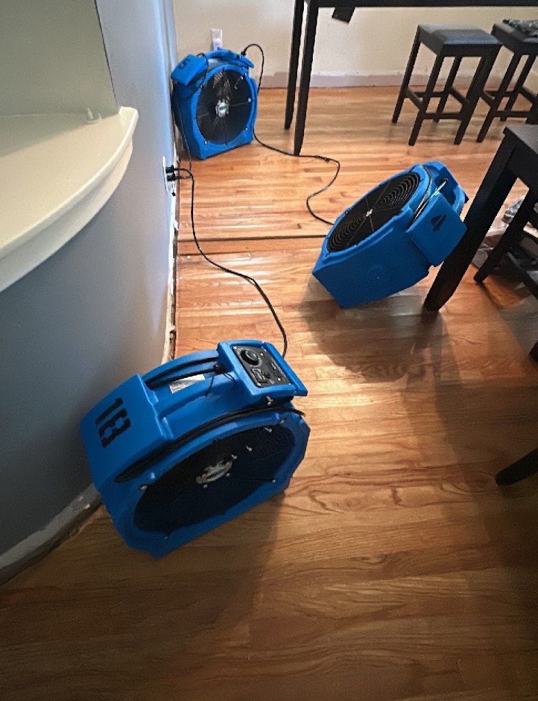 Best Water Restoration photo