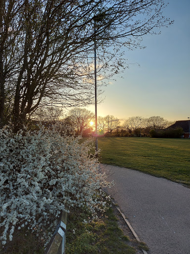 Braintree Rugby Club - Thumbnail