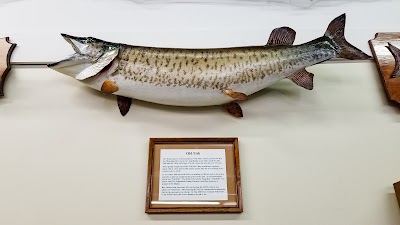 Minnesota Fishing Museum and Hall of Fame