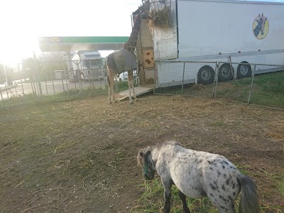 Ambulatorio Veterinario Dott. Luca Soviero