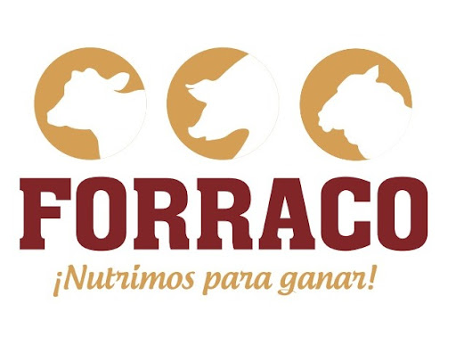 Forraco - Visual