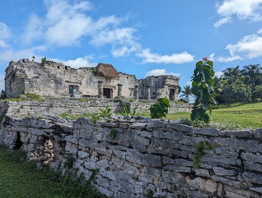 Tulum Tours