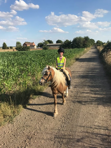 Foxthorpe Farm - Thumbnail