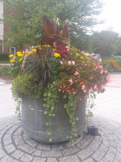 Seasonal Planters John Mazzone