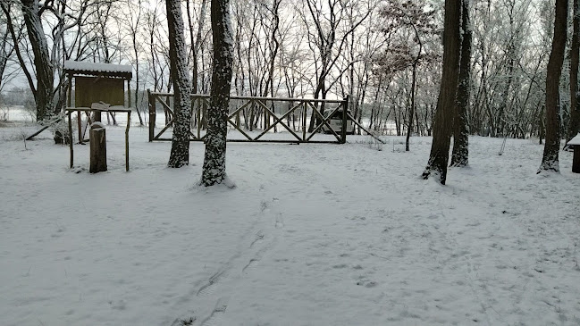 Opinie o Skansen Pszczelarski w Dębno - Muzeum