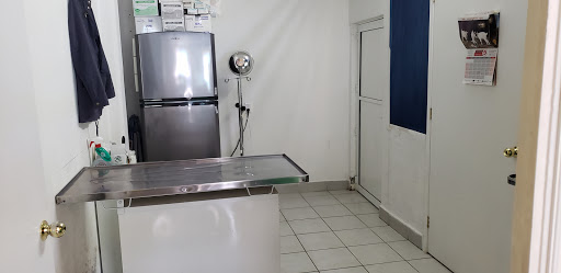 Veterinaria y Venta de Alimento "El Valle de los Espejos"
