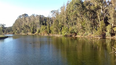 Photos of Reserva Nacional Laguna Torca
