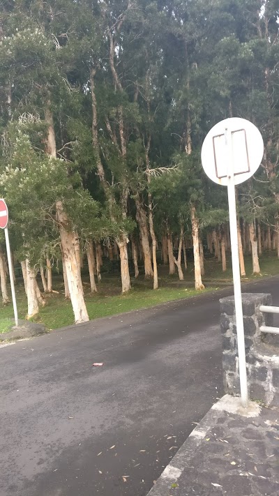 Photos of Alexandra Falls Car Park