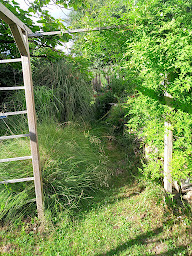 Photo n°16 de Renatura Terra espace vert à Montrevault-sur-Èvre (Architecte paysagiste)