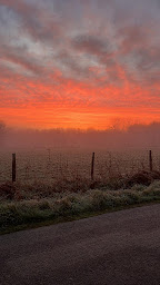 Photo n°18 de Auprès de mes chèvres à Pluvigner (Magasin bio)