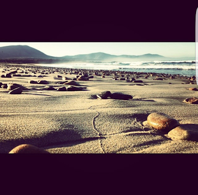 Photos of Playa Los Molles