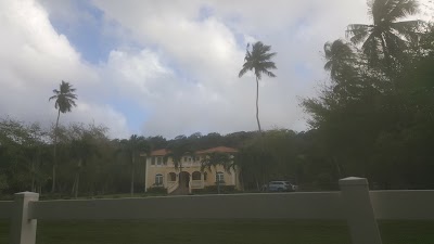 Photos of Tropical Trail Rides