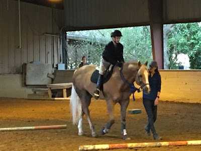 North Texas Equestrian Center - Riding Lessons & Horse Boarding near Dallas, TX