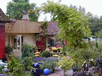Photos of Nylund Planteskole/Blomster