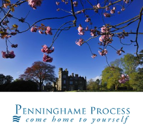 The Penninghame Process