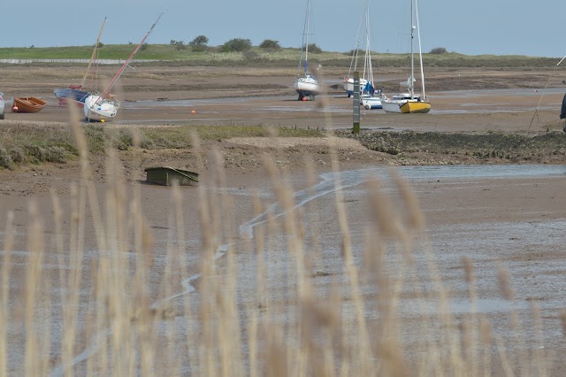The Crab Hut